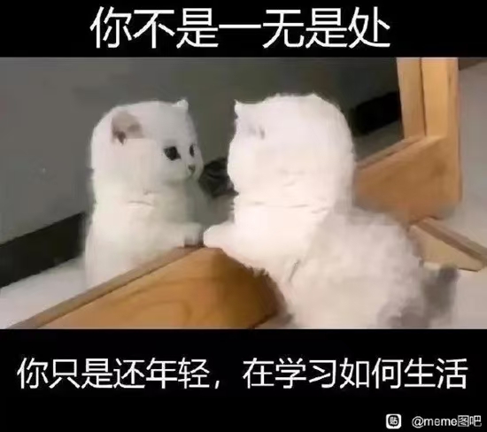 长时间不登录宝塔导致其页面404解决方案